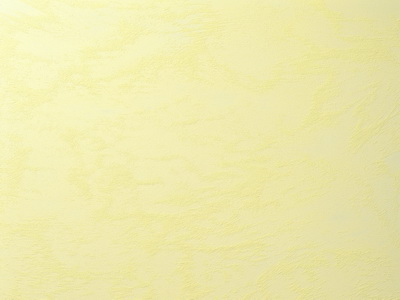 Brezza (Бреза) в цвете BR 10-06 - перламутровая краска с крупным матовым песком от Decorazza